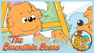 Berenstain Bears The Bad Habit The Prize Pumpkin  Ep16 [upl. by Nyleuqcaj]