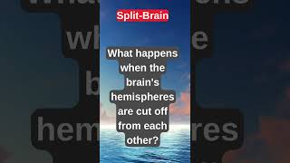 SplitBrain motivation africanempires beninkingdom musicalhealing facts psychology [upl. by Jamal154]