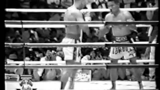 Ramon Dekkers vs Thai highlight 2014 [upl. by Ataynek]