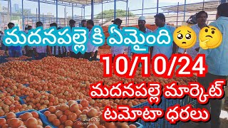 101024 Madanapalle Tomato Market price Today  Today Tomato Market Rate in Madanapalle today [upl. by Marna]