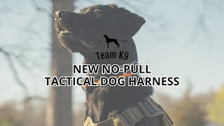 This Tactical Dog Harness Is A GAMECHANGER [upl. by Datha511]