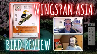 Wingspan Asia birds review amp first impression  Tuck or play Part 5 ft WinginitWingspan [upl. by Ahtivak]