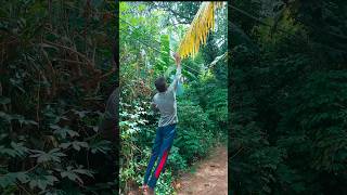 Traditional Grip Installation Without Gripper 🥎🏏අපේගමේ තව වැඩ්ඩෙක්😍cricket shorts fyp viralvideo [upl. by Charmain640]