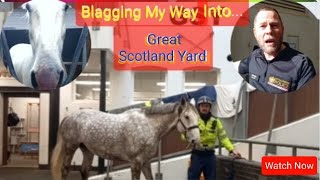 Blagged My Way into Metropolitan Police Mounted Branch  Horse Stables Audit [upl. by Enialb88]