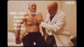 Breath Sounds  Master Auscultation Skills in 10 minutes [upl. by Lehcar]