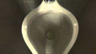 Bathroom Tour Beautiful Standard Madstone Urinals with a Modern Toto Toilet [upl. by Rena]