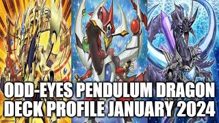 ODDEYES PENDULUM DRAGON DECK PROFILE JANUARY 2024 YUGIOH [upl. by Mill]