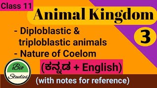 in Kannada Class 11Animal KingdomPart 3  Diploblastic amp Triploblastic animals Nature of Coelom [upl. by Nomead]