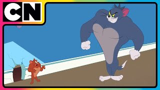 Tom amp Jerry 😺🐭 Just Cat amp Mouse Things  tomandjerry  Funny Cartoons  cnindia [upl. by Labors200]