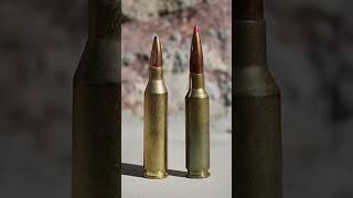 243 Winchester vs 6mm Creedmoor what one do you choose hornady hunting creedmoor coyotes 6mm [upl. by Eva264]