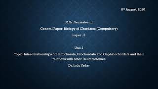 Inter relationship of Hemichorata Urochordata and Ciphalochordata I [upl. by Gottwald]