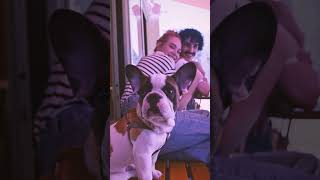 The Truth About French Bulldogs 😱Watch Before You Get One FrenchBulldog dog doglovers [upl. by Durning]