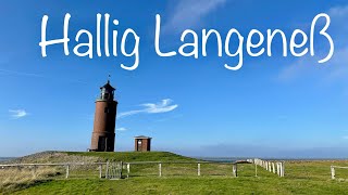 Hallig Langeneß 😀 Fähre 🥹 Hallig Hooge 😄 Schlüttsiel [upl. by Nuawaj]