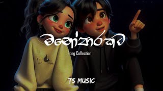 මනෝපාරකට Slowed  Reverb Song Collection  Tranding Songs  Manoparakata sindu  TS MUSIC [upl. by Akalam768]