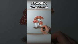 Fly agaric drawing art [upl. by Evetta]