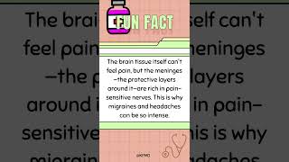 🤕 Where Brain Pain Begins—Do You Know the Spot mededtrivia brainteasers brainfacts smarttrivia [upl. by Anayad697]