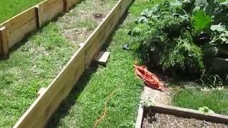 Hugelkultur Raised Garden Bed  1 [upl. by Dorella]