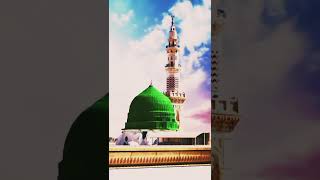 Gulam Mustafa Qadri New kalam shortvideo shorts [upl. by Tebor32]