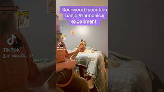 Sourwood banjo with rack harmonica accompaniment banjomusic harmonica [upl. by Lorac]