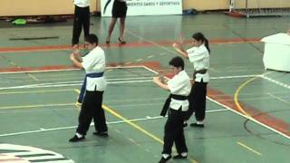 CAMPEONATO DE ANDALUCÍA Kung Fu  Di Som 2011 [upl. by Mintz]