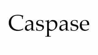 How to Pronounce Caspase [upl. by Vedi]