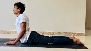 How to do correct Upward CobraBhujangasanaampDownward Facing Dog Pose🌱Urdhva ampAdho Mukha Svanasana [upl. by Efeek]