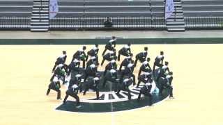 Collegiate Pompon Championship 2014  Michigan State University Pompon [upl. by Euqnom969]