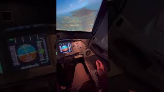 Airbus A320 cockpit view [upl. by Jocelyn]