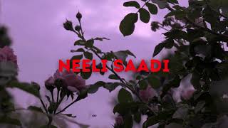 Neeli saadi  271024  Hindi Rap Song  MTV Hustle  Underground Artist [upl. by Eineeuq291]