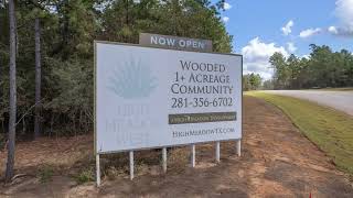 Acreage Land For Sale in Montgomery County Texas [upl. by Itirp]