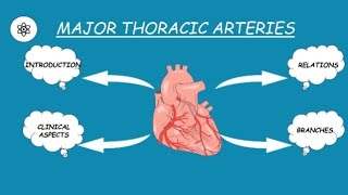 ANATOMY OF MAJOR THORACIC amp HEART ARTERIES BLOOD SUPPLY [upl. by Rumery]