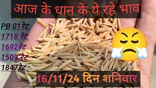 today dhan Mandi rate। vidisha mandi rate। raisen Mandi rate। धान मंडी भाव। mandiratewala [upl. by Jodee]