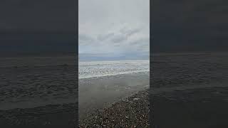 Agate Beach Haida Gwaii shorts haidagwaii [upl. by Tonkin]