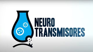 neurotransmisores prt 2 [upl. by Arte433]