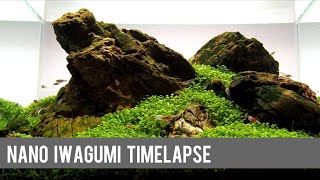 Nano Iwagumi HardscapeTimelapse and Development in a Dennerle Scaper’s Tank [upl. by Erodisi]