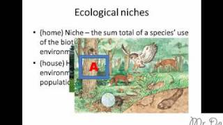 community ecological niche habitat fundamental realized [upl. by Colb]