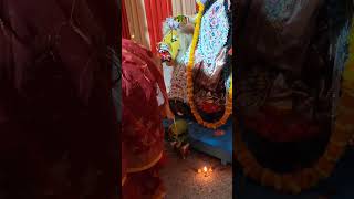 boron borondala jogodhatri Puja kolkata westbengal shortvideo viralvideo [upl. by Wetzell109]