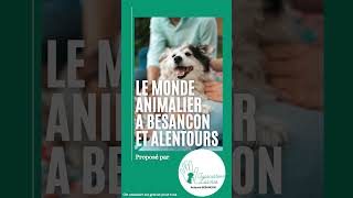 Catalogue du monde animalier à Besançon et alentours [upl. by Jessee]