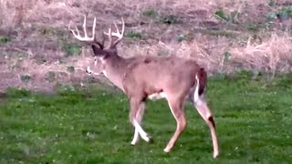 LowImpact Stand Strategies to Kill More Deer [upl. by Anagnos]