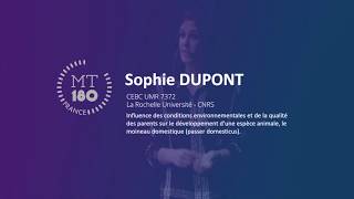 Ma thèse en 180 secondes 2019  Sophie Dupont [upl. by Lyns]