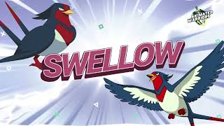 Swellow The Swallow Pokémons Aerial Mastery [upl. by Enitsuj174]