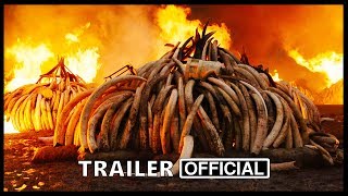 Anthropocene The Human Epoch Movie Trailer 2019  Documentary Movie [upl. by Arielle]