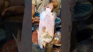 Amazing Tripletail Fish Cutting Skills In Bangladesh Fish Market By Expert Cutter shorts [upl. by Niattirb291]