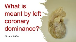 What is meant by left coronary dominance [upl. by Enelez]