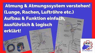 PRÜFUNGSWISSEN 1 Atmung Lunge Atemwege amp Atmungssystem im Rettungsdienst Pulmo Larynx Trachea [upl. by Suk]