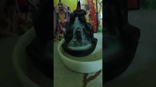 হয় হয় মহাদেব vrielvideo harharmahadevॐ youtubeshorts trendingshorts mahakal [upl. by Kcor]