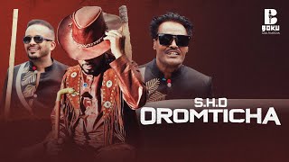 Desu Ambo ft Sayyoo Dandanaa Oromtichaa New Oromo music 2024 [upl. by Ardme]