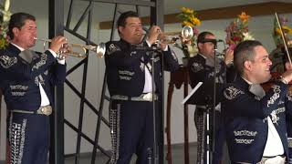 MARIACHI NUEVO TECALITLÁN  LA FERIA DE LAS FLORES [upl. by Eno]