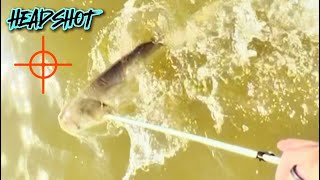 I HEADSHOT This FISH With MY BOW BOWFISHING [upl. by Yatnohs]