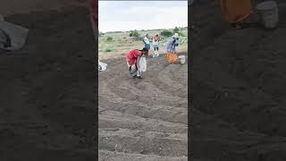 Biochar Compost Preparation  Mixing Easy Method biochar [upl. by Arahsat814]